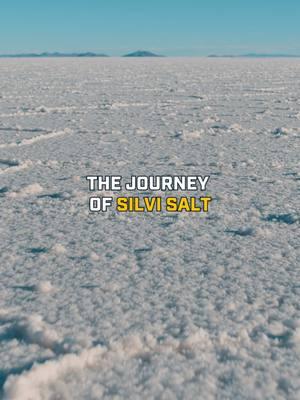 🚢 Siwa, Egypt ➡️ Bristol, PA ﻿ Once it arrives as untreated rock salt, we store and treat it to ensure safer roads all winter long. ❄️ #SilviSalt #WinterReady #RoadSafety #SilviMaterials #Pugmill #ConstructionIndustry #Explained 