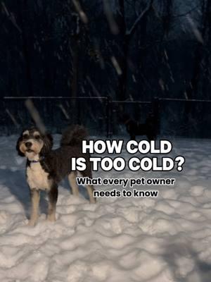 SAVE + SEND this quick winter safety guide ❄️ Hypothermia in dogs occurs when their body temperature drops below the normal range of 101°F to 102.5°F. Here’s a breakdown: ⚠️Mild Hypothermia: Body temperature drops to 99°F to 101°F. Symptoms: Shivering, lethargy, and cold extremities. 🔶Moderate Hypothermia: Body temperature falls to 95°F to 99°F. Symptoms: Weakness, muscle stiffness, slower heart rate, and shallow breathing. 🛑Severe Hypothermia: Body temperature drops below 95°F. Symptoms: Life-threatening conditions like unconsciousness, irregular heartbeat, and potential organ failure. ❄️If you suspect hypothermia, warm your dog gradually with blankets or warm (not hot) water bottles and seek veterinary care immediately !!!  ‼️Rapid warming or leaving hypothermia untreated can lead to complications. #petstagram #petschool #vet #veterinarian #vetlife #pethealth #petwellness #petadvice #dogtorkristi #goldendoodle #bernedoodle #petsafetytips #petwintersafety #wintersafetyfor pets