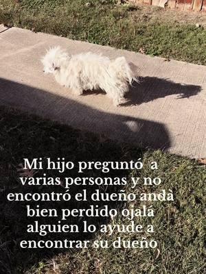 #anda perdido 🥺🥺#fypシ #respetovideo #viralvideo #