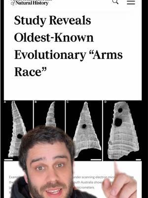 The oldest known evolutionary arms race #sciencetok #evolution #animals #paleontology #cambrian #biology #LearnOnTikTok #edutok #stem #naturalselection  