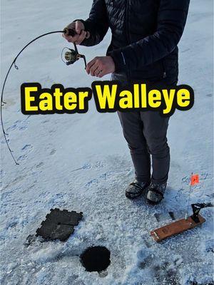 Eater Walleye‼️🧊🎣  🎥Video Credit: @Brian Clemen   #teamht #fishing #water #hardwater #ht #fishin #letsgofishing #fishin #fishon #hookedup #Outdoors #montana #icefish #icefishing #fish #htenterprises #htice #htent #icerigger #walleye #walleyefishing