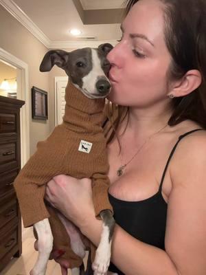 If you have an Italian greyhound, here’s some clothes ideas! #italiangreyhounds #dogsoftiktok #iggysoftiktok #dogclothes #etsyshop 