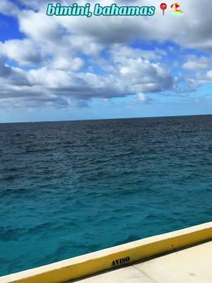 the water is unreal here! 🌺 #biminibahamas #bahamas #celebritycruises #beach #travel #travellifestyle #bahamastiktok 