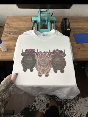 *Wink Wink* WE WANT COWS🐄🩷 - - - ##cows##highlandcow##cow ##valentine##ValentinesDay##valentinesweater##faithbasedbusiness##christianboutique##SmallBusiness##westernboutique##boutique