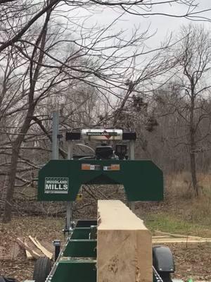 Soon this will be a sauna. #fyp #woodlandmills #moose #woodmill @Woodland Mills #arborist #forester 