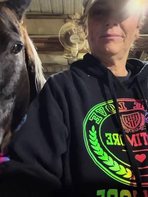 Have to wait to make an announcement. When everyone knows at Freedom Ride then I can post it. I deleted the previous video about it because not everyone knew. Just waiting. Until then enjoy these videos. #horsesoftiktok #freedomride #fyp #horses #barn 