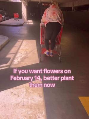 Just trying to give you a heads up #flowers #plant #them #now #ValentinesDay #headsup #startnow #lol #justsaying #target 