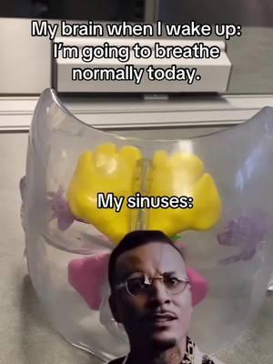 Agree?! #sinus #sinusinfection #sinusrelief #sinusitis #breathe #anatomy #professorkleinanatomy #fyp #foryourpage #noyourenot 