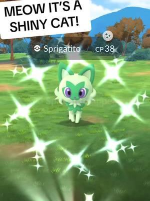 SPRIGATITO COM DAY RECAP!! HOW MANY SHINY’S CAN YOU COUNT!? #pokemon #pokemongo #fyp #foryou #pogo #comday #recap #cat 