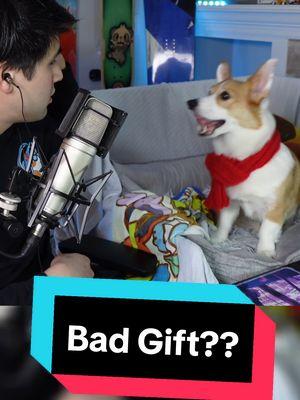 someone is getting coal next year... #corgination #twitchtok #streamersoftiktok #corgisoftiktok #corgi #smallstreamer #corgilife 