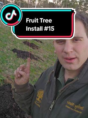 Fruit Trees and Incompetent Government! #fruittrees #northaugustasc #fruittree #homesteading 