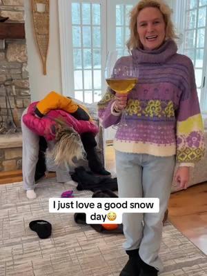 I’m gonna need a bigger glass #snowday #MomsofTikTok #wine