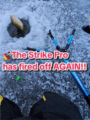 🚀The Strike Pro has fired off AGAIN‼️🧊🎣 🎥Video Credit: @Brian Clemen  #teamht #fishing #water #hardwater #ht #fishin #letsgofishing #fishin #fishon #hookedup #Outdoors #montana #icefish #icefishing #fish #htenterprises #htice #htent #perch #perchfishing