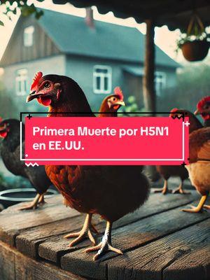 Estados Unidos reporta su primera muerte por H5N1: un hombre en Luisiana perdió la vida tras estar en contacto con aves infectadas. Aunque el riesgo de transmisión humano a humano sigue siendo bajo, este caso nos recuerda la importancia de estar alerta ante enfermedades zoonóticas. ¿Qué opinas sobre esta situación? 🐦🦠💭 #H5N1 #GripeAviar #Virus #SaludPública #Prevención #Pandemias #NoticiasActuales #EnfermedadesInfecciosas #Luisiana #SaludGlobal #NoticiasVirales #AlertasDeSalud #creatorsearchinsights 