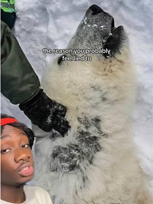 Wait til yall find out about elephants #polarbear