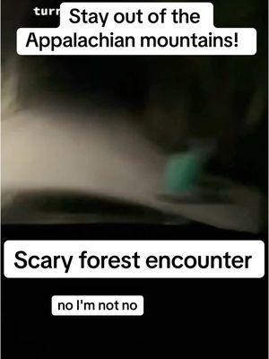 The #appalachiantrail is a scary place to be. TikToker @Livid-Linguine knows first hand when she and her friends see something terrifying on the side of the road. #mystery #explore #horrortok #scary #caughtoncamera #creepyforest #scarymoments #scaryforest 