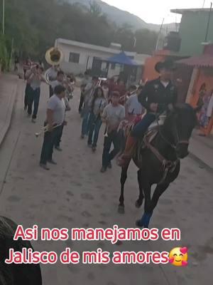 #ojitosdemiel #jalisco #banda #caballos 