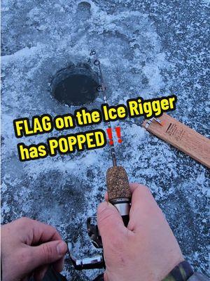 FLAG on the Ice Rigger has POPPED‼️🧊🎣 🎥Video Credit: @Brian Clemen   #teamht #fishing #water #hardwater #ht #fishin #letsgofishing #fishin #fishon #hookedup #Outdoors #montana #icefish #icefishing #fish #htenterprises #htice #htent #walleye #walleyefishing