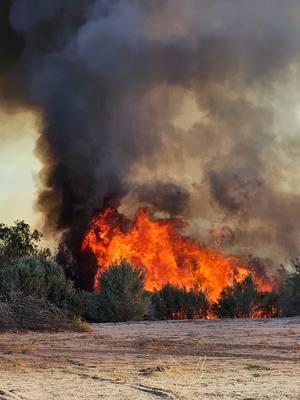 Just another day at work doing what we love! Vegetation fires aren't exactly fun but this one went our way with a backfire. #firecountry #fire #firefightertiktok #bestjobever #arizona #california 