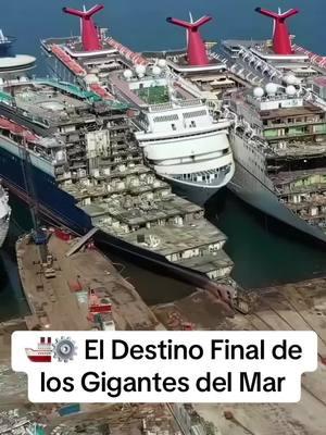 🚢⚙️ El Destino Final de los Gigantes del Mar🤯🤯#barcos #barco #destino #mar #gigante #datoscuriosos #SabiasQue #curiosidades #fypシ #fyp 