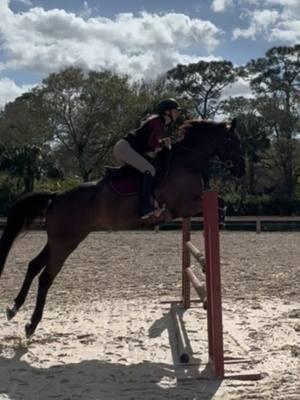 last jump school before WEF week 1, it’s finally here. #relatable #horsesoftiktokforyoupage #relatablecontent #viral #fypシ゚viral #horses #horsesoftiktok 