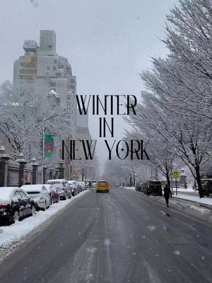 Finally #snow • #newyork #nyc #newyorkcity #newyorklife #nycsnow #travelblogger #traveltips #reelsvideos #newyorkviews #nycblogger #reels #travel #uppereastside  