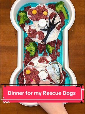 Dinner tonight for my rescue dogs 🐟🥩🐶 Code KAYLAK9 for 30% off @We Feed Raw #kibble #dogmom #dogfood #rawfeddog #wefeedrawpartner #dogfoodrecipe #fyp #dogfoodrecipe #dogtreats #rawfeeding #dogfeedingroutine #dogsoftiktok #dogs 