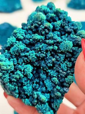 Which Chrysocolla is your Favorite? 😍 1-10? 💎  This super saturated oceanic blue chrysocolla is from the now defunct Cunyari Mine in Brazil. The semi "silicated" luster is a result of a condensed form of Chrysocolla a hydrated copper silicate, (Cu,Al)2H2Si2O5(OH)4·nH2O - we suspect from a type of naturally occurring carbonic acid. These feature a distinct, beautiful leaf or wave like pattern and some feature multiple generations of growth. We will be featuring these and more on the next Virgo Live Sale this Tuesday on Instagram starting at 3PM MST. Available for preclaim of the table scan up around noon. Requests need to be processed by 2:30. Detailed instructions in Live Sale Rules. Hope to see you there. Xo, Georgia 💋  #cunyarichrysocolla #chrysocolla #fineminerals 