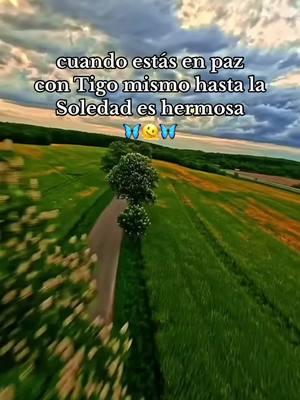 #reflexion #pazmental #amorpropio #amomisoledad💖💖💖 #😌❤️ #paratiiiiiiiiiiiiiiiiiiiiiiiiiiiiiii #fouryoupage #fory #2025 #greenscreenvideo #viralvideo #letras #indirectaswapp #rolitasantiguas #rolitas30 #TikTokShop #capcut #enparati #nuevavida #musica #fouryou #cancione 