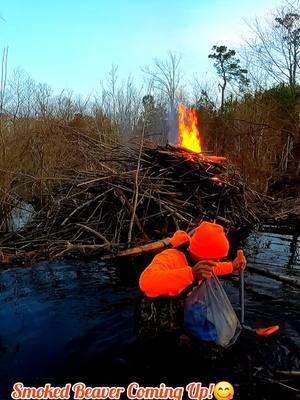 Burning Beaver Dam Swamp Debris Pile! || Beaver Dam Removal! #beaverdamremoval #beaverdam #gatorcreek #beaverdamswamp #burning #fire #burn #damremoval #beavers #dam #drain #draining #water #nature #unclogging #terrellspivey #fypシ゚ #foryoupageシ #foryou #viralreels #viralvideo #foryoupageofficiall #fyp #fyppppppppppppppppppppppp #tiktok #tiktokreels #shorts #tiktokvideos #viraltiktokvideo 