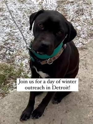 A day of winter outreach in Detroit ♥️ #DogAide #Detroit #Dogs #communityoutreach #nonprofit #happymonday #fyp #reels #followus 