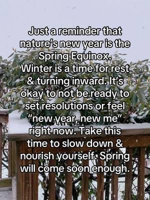 ✨✨✨ #magicatmaple #newyear #springequinox #witchtok #witchytips 