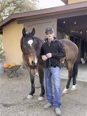 Does your body language match what you are asking for? One of the biggest behavioral issues (with humans!) is asking for something they don’t truly want. #journeyon #horsetrainingtips #horsemanship 