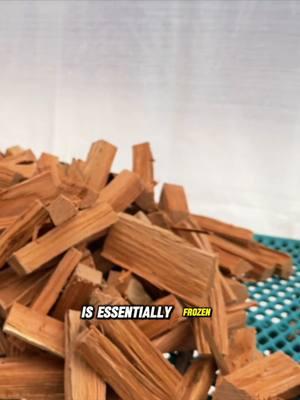 Does Firewood Dry in the Winter #firewood #wood #freezedry #minifirewood