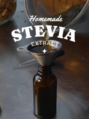 Homemade Stevia Extract from the garden!  . Yup, growing sugar cane may not be an option for the average gardener but growing stevia is!  Now I know, a lot of us have had bad experiences with the strong bitter notes that commercial stevia typically has.  Homegrown stevia is a lot less on the bitter side and more on the earthy sweet side though!  . I sow my stevia seeds in Jan/Feb if I want to grow more outside of my already established patch. The seeds are super small and do well sowed just on the surface on a seedling pot!  I spritz with water for a few days until tony sprouts emerge and I watch them closely for 4-6 weeks. Then transplant them out into the garden in an area that is full sun with preferably afternoon shade (like just about everything that thrives in a Texas garden lol)  . Tips to avoid bitter notes being stronger:  Steep for 4 days or even less in the spirits. Reduce the vapors by stirring the extract in a ventilated area but on very very low heat for a short amount of time just until the alcohol smell is gone. OR, make a decoction with distilled water by steeping the stevia leaves fresh as a tea and straining to store in your fridge for 3-4 weeks at a time.  If you harvest all at once you can keep dried stevia leaves on hand for regular decoction as well!  . When using powdered stevia consider that 1/32 of a tsp equates to the sweetness of 1 tsp of sugar! To round out your sweetness in a baked good you can try adding a reduced sugar amount or using less honey/maple syrup and adding a pinch of stevia to reduce glycemic load!  #stevia #gardenharvest #gardentok #gardenrecipes #gardentotable #keto #texasgardening 