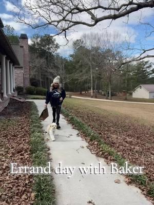 I’ll get better at story telling but here’s what we got today running errands lol 😂 #errandday #errands #RunningErrands #maltipoosoftiktok 