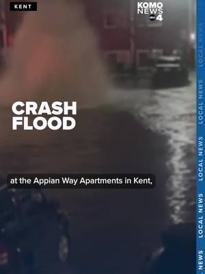 Residents of the Appian Way Apartments in Kent are grappling with severe flooding after a car struck a fire hydrant, leaving six apartments inundated and families displaced. Baljinder Kaur, whose mother lives in the affected complex, described the scene as devastating. "I've never seen anything before like that," she said. "Water everywhere, water everywhere here." Kaur explained that several inches of water filled her mother's apartment, damaging her belongings. "My mom's clothes, my mom's couch, it's bad, everything even my mother's washing machine is bad," she said. Luis Martinez, another resident, recounted the moment the flooding began. "It sounded just like a regular car crash," he said. "I looked out the window and my dog was barking. That's when I started to see the slow flooding and then it started to gush out." 🔗 in bio for the full story. #komo #komo4 #komonews #komo4news #seattle #washington #kent #apartment #appianway #flooded #firehydrant #accident #crash #pugetsoundfire #firefighters #4u #fyp #foryou #foryoupage #foryourpage