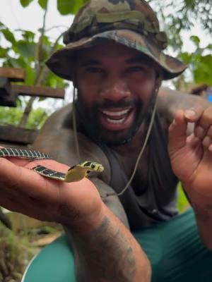 Play #fyp #snake #viral #forest #playtime #kidfrancky 