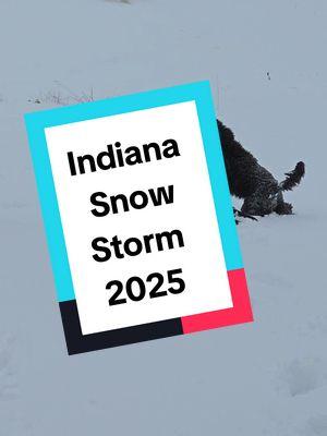 #indianasnow #snowstorm2025 #indiana #doodles #snowday 