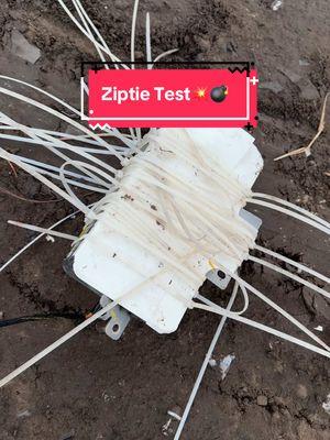 The power of zip ties will be put to the test 😁🤘🏻💥#crushinflorida #fyp #junkyard #scrapyard #shenanigans #donttrythisathome #carcrushing #destruction #carnage #crazy #airbag #zipties 