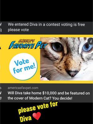 we entered Diva in a photo contest voting is free link  to vote is pinned in my bio  #americasfavoritepet #AFP #fyp #trending #pets #PetsOfTikTok #photochallenge #contest 