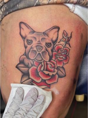 French bulldog piece for a frenchie rescuer, made at Death Ray Tattoo in Manteca, CA #frenchies #tattootok #tradtattoo 