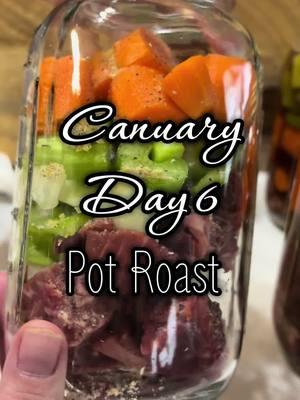 Happy Canuary Day 6 Pot roast in a jar 🫙  I used:  Beef round cubed  Anaheim peppers Celery  Yellow onion  Carrots  Kinder the blend seasoning Beef broth 1.5 inch head space  Pressure can pints for 75 minutes and quarts for 90 minutes.  #homestead #homesteading #canuary #canuary2025 #pressurecanning #foodpreservation #cantry #pantry #budgetmeals 