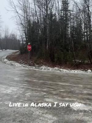 #alaska #snow #freezingrain #badweather #storm #badroads #roadtrip #fthis #alaskalife #kryptonite 