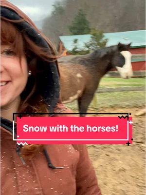 Giving the horses some love even with the snow flurries🫶🏼 #Outdoors #winter #snow #snowflurries #coldweather #wintervibes #snowadventures #horsesontiktok #horsetalk #weddingvenueownertiktok #weddingvenue #winterseason #elopement #proposal #gettingmarried #engagedtiktok #soontobemarried #weddingplanning #weddingcoordinator #countryvenue #tennessee #gatlinburg #newyears #winterbreak 