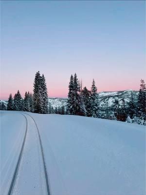 #railroad #unionpacific #coldexposure #xt #winter #fuckoff 