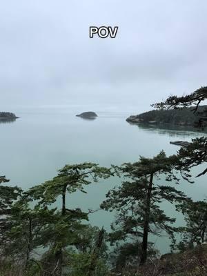 Now sit with me in mine ❤️😍 #peace #foundmypeace #innerpeace #meditation #meditationmusic #newyearsresolution #wa #pnw #Hiking #nature #theocean #upperleft #upperleftusa #hoahoahoa #misty #mistymountains #thatview 