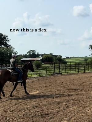 he’s just a chill guy 😀  #barrelracer #buenojackspavo #barrelhorses #besteversaddlepads #jhabarrelsaddles #missouri #blessed #bbr #viralfyp #fyp 