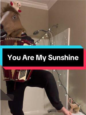 Replying to @deniselambertsnipes #accordion #themaskedmusicalpony #lambchop #youaremysunshine 