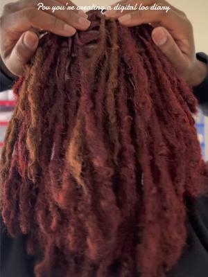 2025 Entry #1 🤎🌱 #fyp #womenwithlocs #locsoftiktok #locstyles #locs #locjourney #digitaldiary #texturedhair #naturalhair 